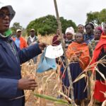 BADEMA KALRO Board members plant trees during their visit to KALRO Lanet Beef Research Centre1