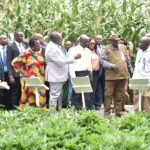 BADEMA KALRO Board members plant trees during their visit to KALRO Lanet Beef Research Centre6